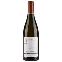 Jean Rijckaert, Bourgogne AC Vieilles Vignes